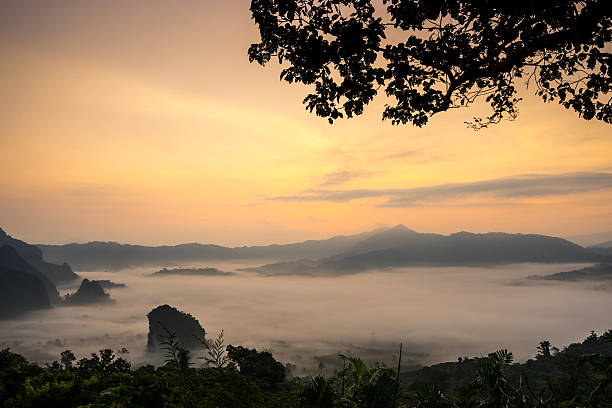 istock Rural view in morning with fog environment 619732674