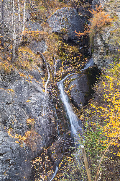 istock waterfall in the mountains and the autumnal trees, long exposure 619732706