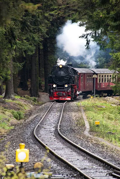 RAilroad in Harz Mountains, Germany