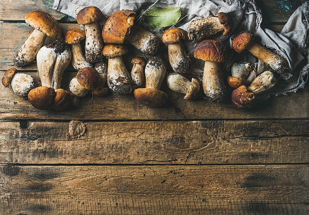 istock Fresh uncooked white forest mushrooms on wooden background 619733372