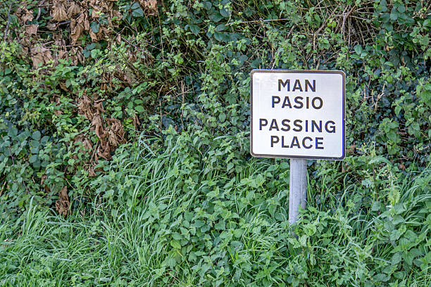 istock Passing place sign in foliage 619734354
