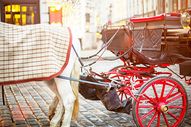 традиционный фиакер с лошадьми на рождество в вене - михайловская площадь стоковые фото и изображения