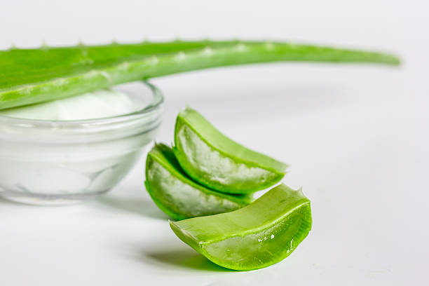 istock aloe vera - leaves and cream isolated on white background 619737212