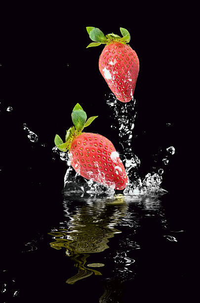 istock Colorful fireworks. Fireworks are a class of explosive pyrotechn 619739424