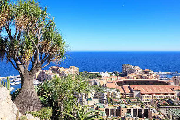 istock Botanical garden above Monte Carlo 619739976