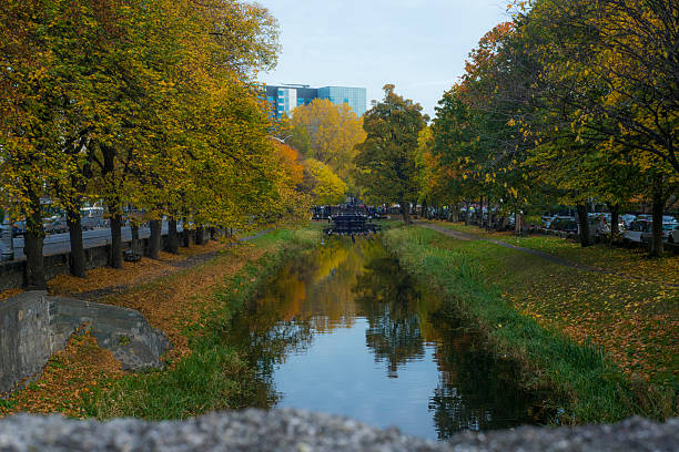 Beautiful autumn colours along the grand canal, Dublin, Ireland. 