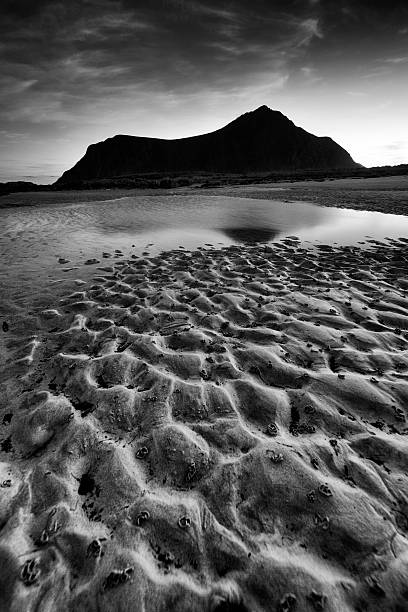 istock Skagsanden Beach in Lofoten, Norway 619746002