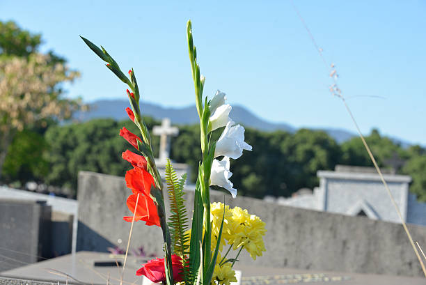 istock Flowers in a cemetery 619746880
