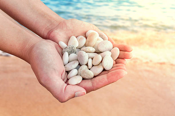 istock Woman hands holding small stones in hands on beach background 619747458