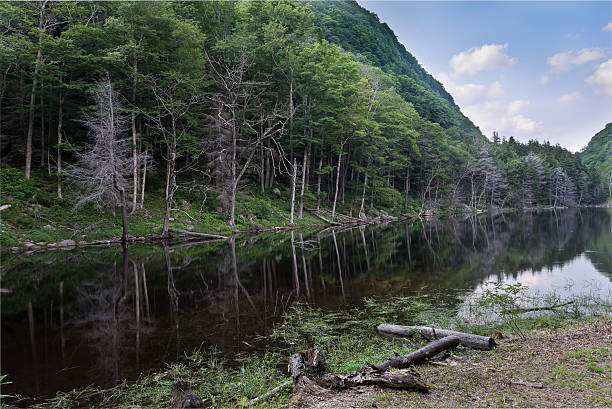 istock Catskill Mountain Lake in Summer 619747666