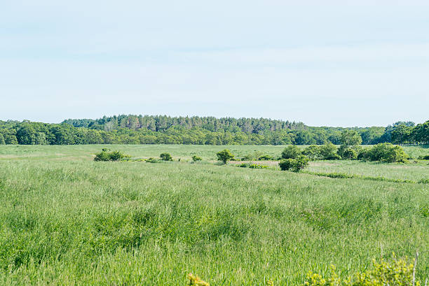 istock Scenery of Hokkaido 619748426