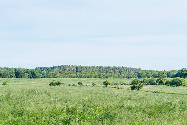 istock Scenery of Hokkaido 619748496