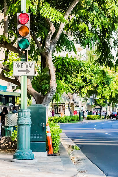 istock Traffic signal in Hawaii 619749608