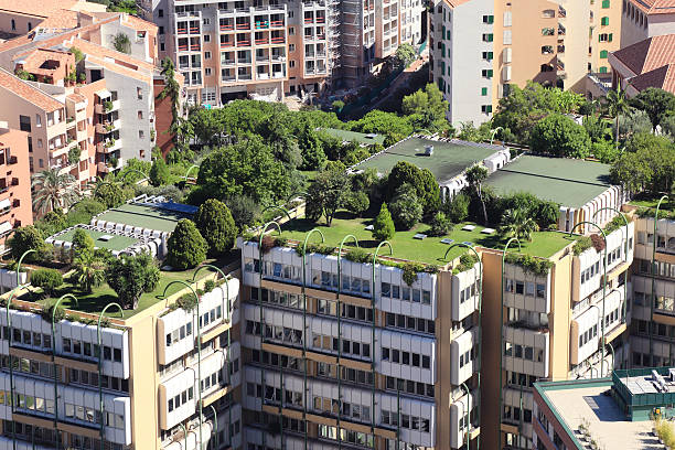 istock Botanical garden above Monte Carlo 619750254