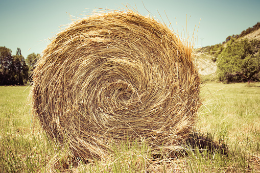 Bale of hay