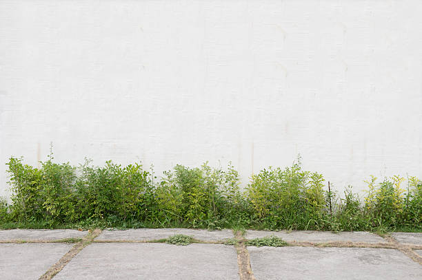 istock Large blank billboard on a street wall 619753158