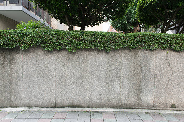 istock Large blank billboard on a street wall 619758092