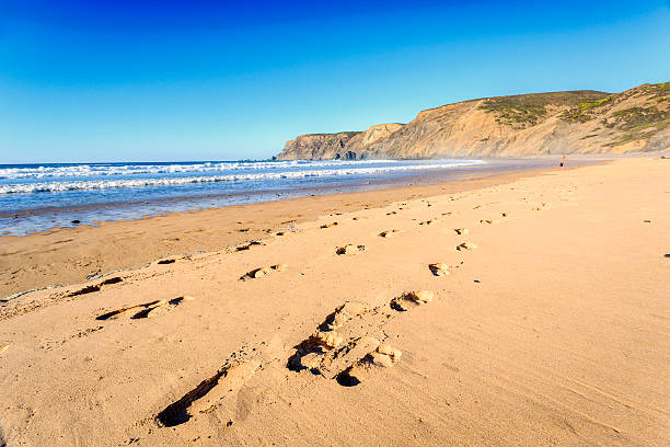istock Wild beach in western Portugal 619758994