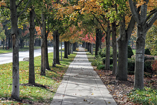 istock Autumn in the city 619760246