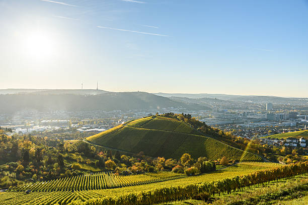 istock Vineyards at Stuttgart - beautiful wine region 619762354