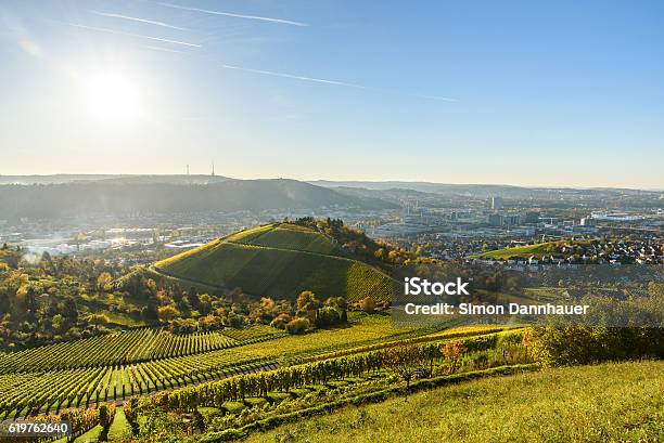 Vineyards At Stuttgart Beautiful Wine Region Stock Photo - Download Image Now - Stuttgart, Landscape - Scenery, Germany