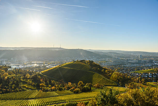 istock Vineyards at Stuttgart - beautiful wine region 619763116