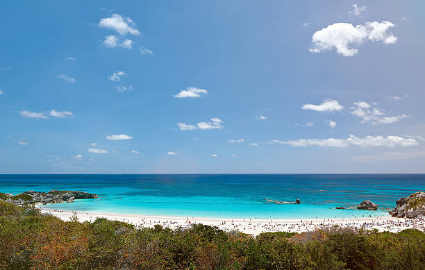 istock pink sand beach in Bermuda island 619763290