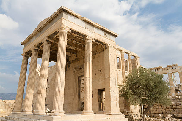 tempel und olivenbaum auf der akropolis von athen, griechenland - social history minerva past ancient stock-fotos und bilder