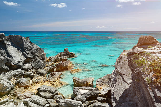 istock wild rocky beach with clean water 619769204