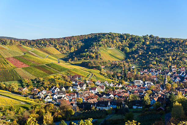 istock Vineyards at Stuttgart - beautiful wine region 619770438