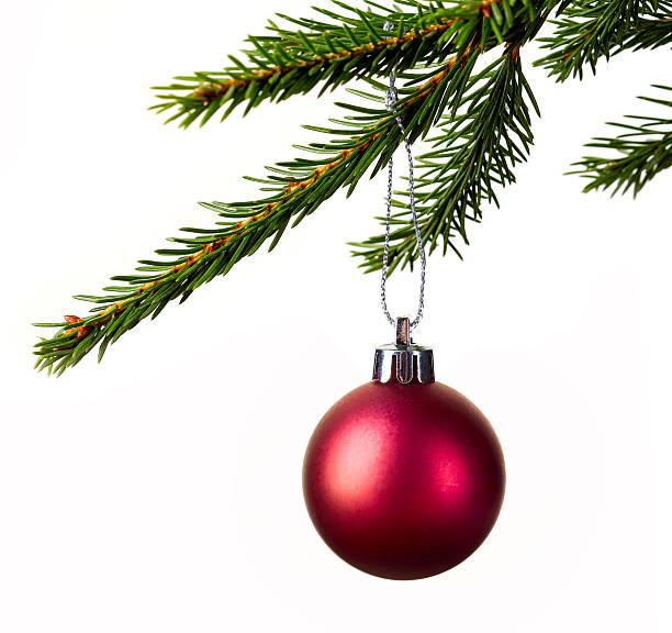 istock christmas ball hanging in branch isolated on white 619770492