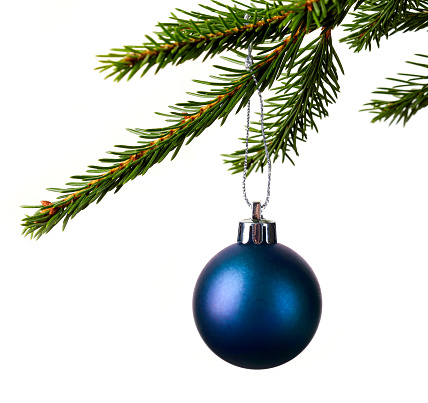 Blue christmas ball hanging in spruce isolated on white background