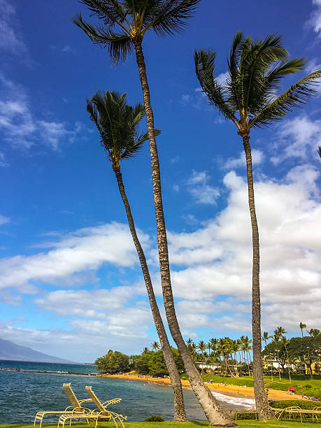 istock Wailea Beach, Maui, Hawaii, USA 619772892