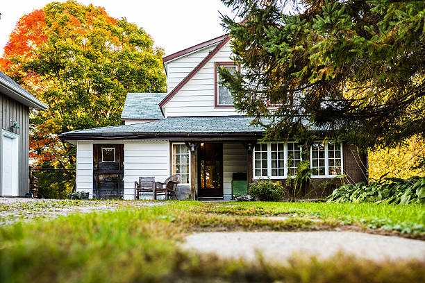 istock Cottage by the lake in Algonquin Park, Canada 619773348