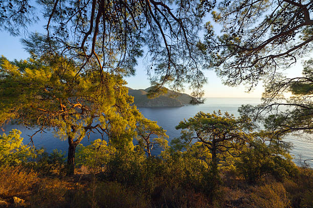 istock Turkish landscape, beach with green forest 619774562