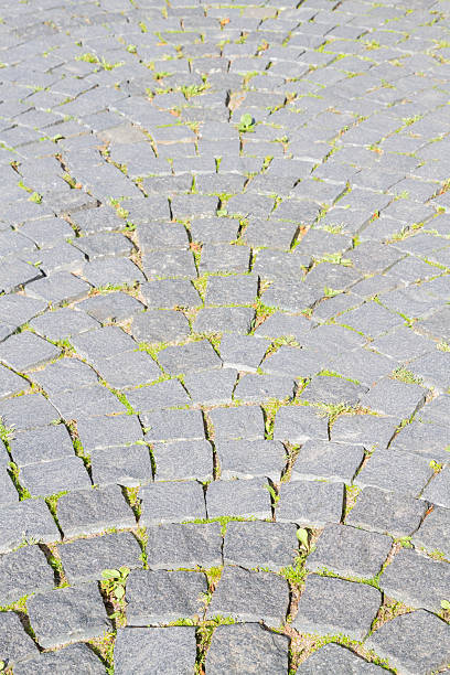 istock The road is paved with stones 619960632