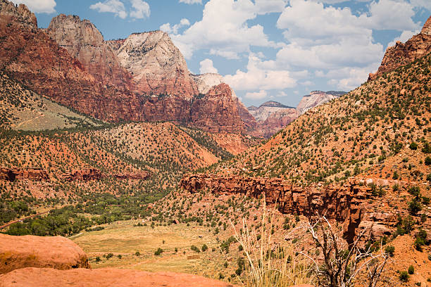 istock Summer in Zion National Park 619960874