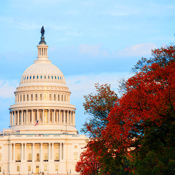 istock Fall in Washington D.C., USA, at sunset 619965304