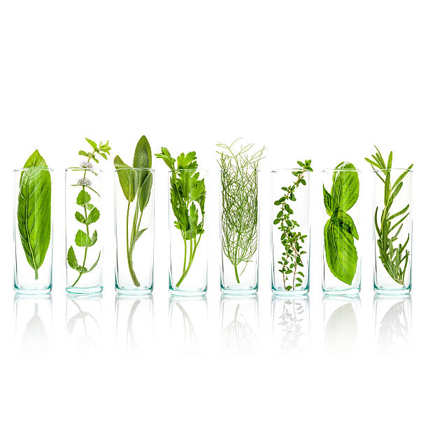istock Close Up bottles of aromatic herbs . 619966124