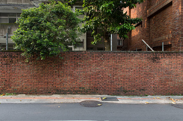 istock Large blank billboard on a street wall 619970014