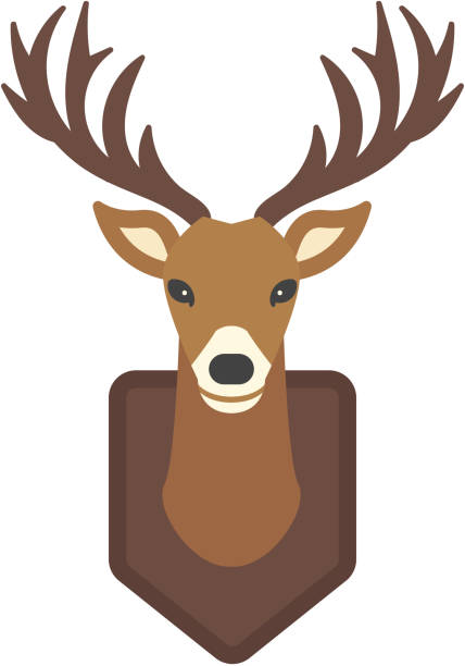 Cartoon Deer Head Vector Animal Stock Illustration - Download Image Now -  Animal, Animal Fin, Animal Wildlife - iStock