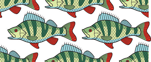 ilustrações de stock, clip art, desenhos animados e ícones de bass fish pattern - wild striped bass