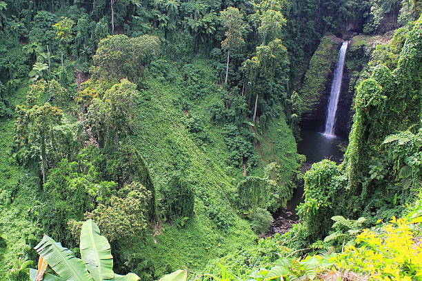 istock Waterfall at the end of a Valley in Western Samoa 619971738