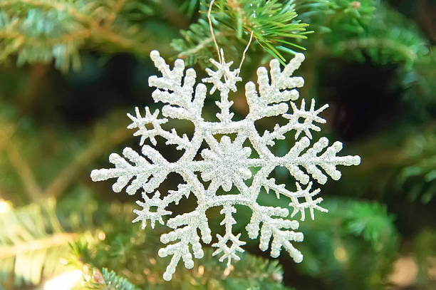 istock Christmas decorative silver snowflake on a fir tree 619972976