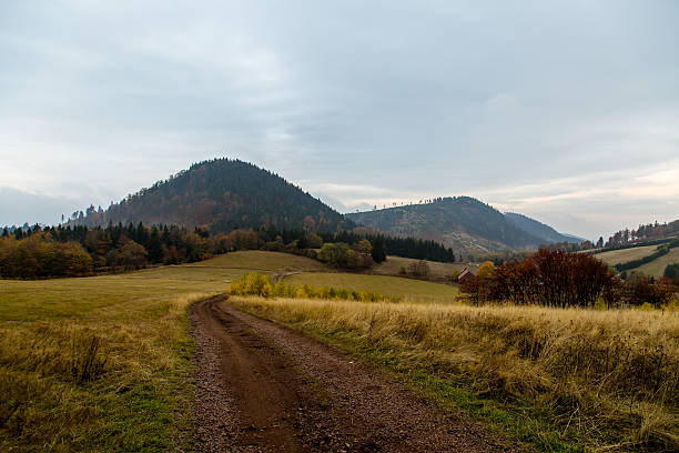 istock Beautiful mountain landscape with Polish autumn 619978466