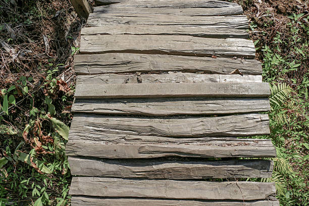 istock Wooden stairs made from tree trunks 619982430