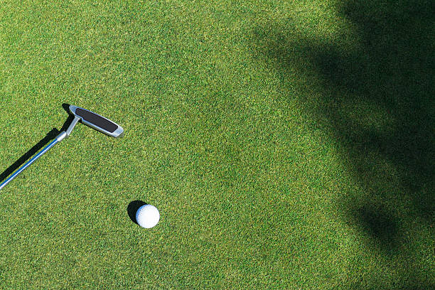 istock Golf ball and putter in lawn 619983234