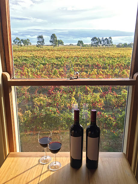 Red wine next to bottles near windows at vineyard stock photo