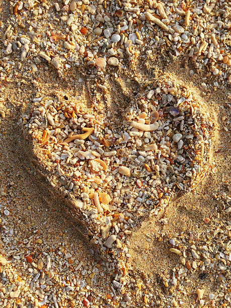 istock Hand drawn heart symbol on sand, small sea shells, corals 619986484