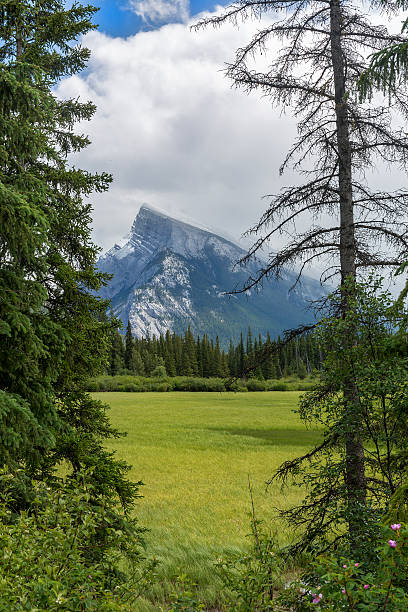 istock Meadow with Mountains in the Background - Banff NP, Canada 619995510
